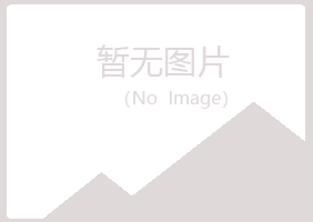 吉林字迹媒体有限公司